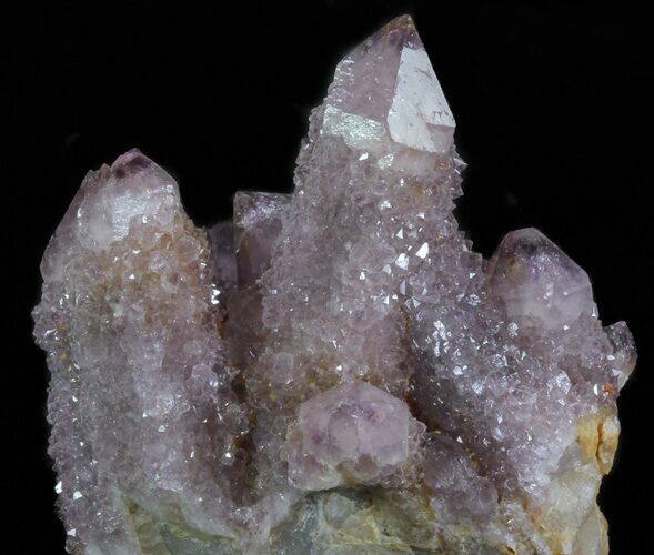 Cactus Quartz (Amethyst) Crystal Cluster - South Africa #64226